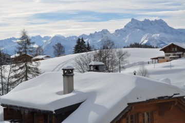 mossette 1