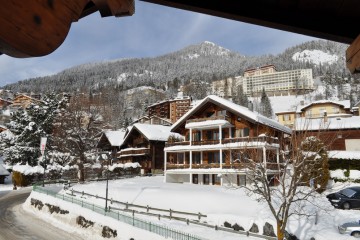 mossette 3